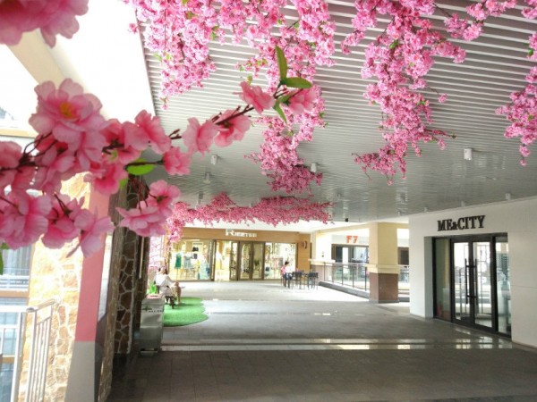 蘭山區(qū)頤高桃花展